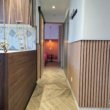 Climatise Centre 4 Personnes * Ajaccio (Corsica)